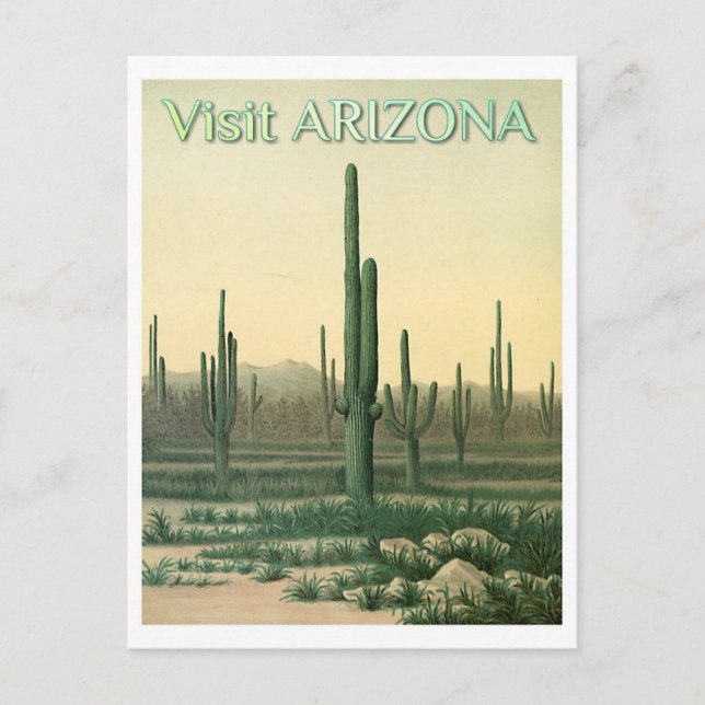 Vintage Arizona Desert Cactus Travel Vykort (Framsida)