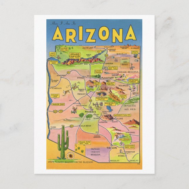 Vintage Arizona Karta Travel Vykort (Framsida)