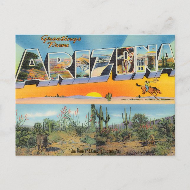 Vintage Arizona Postcard Collage Vykort (Framsida)