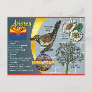 Vintage Arizona The Grand Canyon State Vykort