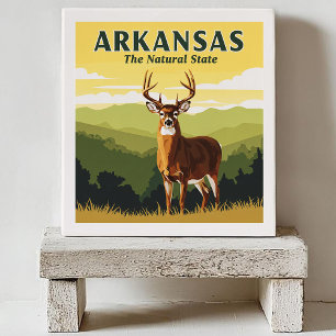Vintage Arkansas Kakelplatta