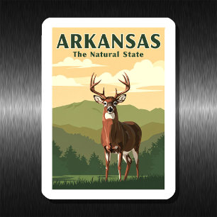 Vintage Arkansas Magnet