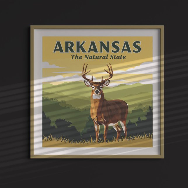 Vintage Arkansas Poster (Skapare uppladdad)