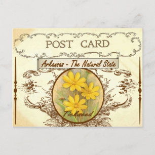 Vintage Arkansas State Flower Postcard Vykort