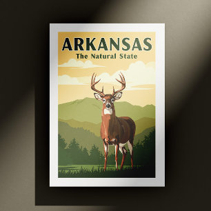 Vintage Arkansas Vykort
