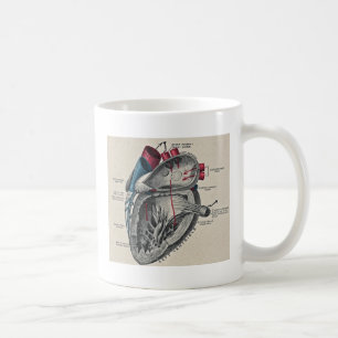Vintage Art Anatomiskt hjärtdiagram - vetenskap Kaffemugg