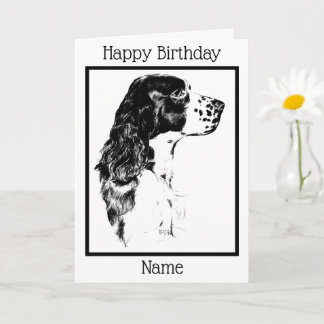 Vintage Art English Springer Spain Birthday Kort