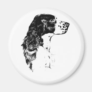 Vintage Art English Springer Spain Hund Magnet