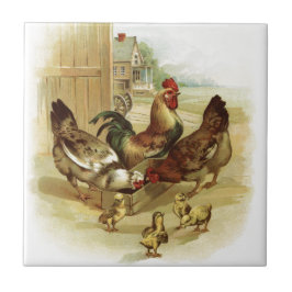 Vintage Art Farm Chickens Kakelplatta