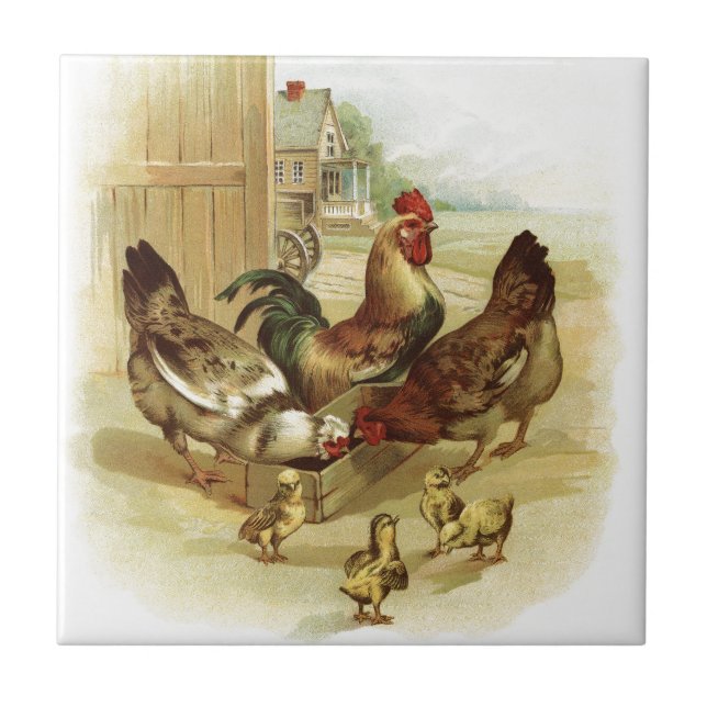Vintage Art Farm Chickens Kakelplatta (Framsidan)