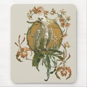 Vintage Art nouveau, Cockatoo Bird, Orchid Flowers Musmatta