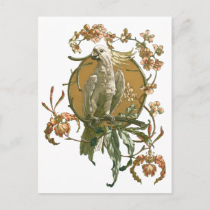 Vintage Art nouveau, Cockatoo Bird, Orchid Flowers Vykort