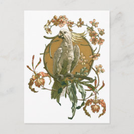 Vintage Art nouveau, Cockatoo Bird, Orchid Flowers Vykort