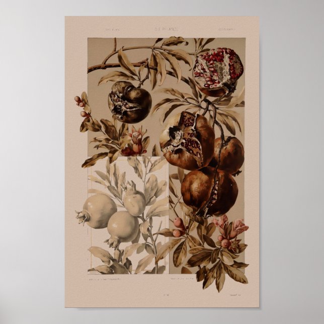 Vintage Art nouveau granat av Anton Seder Poster (Framsidan)