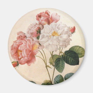 Vintage Art Rosa ros kylskåp, magnet