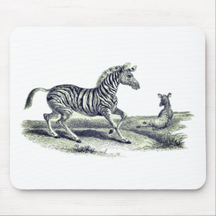 Vintage Art Zebra och kalvlevande djur Musmatta
