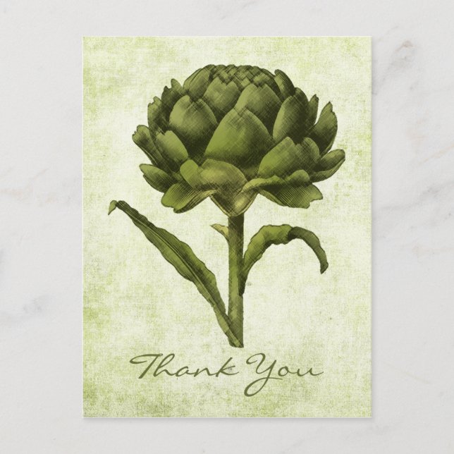 Vintage Artichoke Postcard Vykort (Framsida)