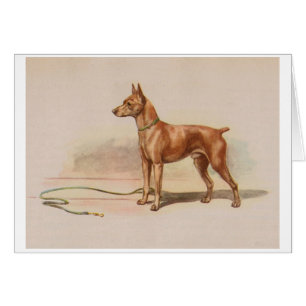 Vintage Artwork - Miniature Pinscher Hund Hälsningskort