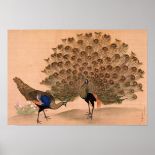 Vintage Asian Peacock Poster