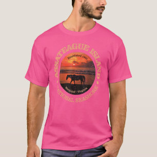 Vintage Assateague Island National Seashore Rd T Shirt