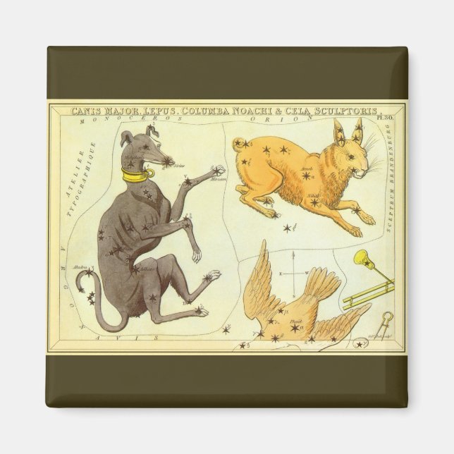 Vintage astronomi, himmelsk karta stjärnkarta i hi magnet (Framsidan)