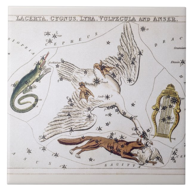 Vintage Astronomical Map of Lacerta, Cygnus, Lyra Kakelplatta (Framsidan)