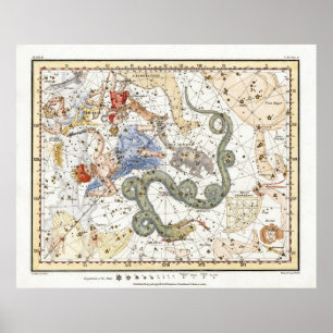 Vintage Astronomikonstellationer Karta Poster