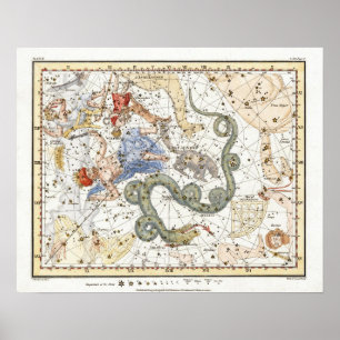 Vintage Astronomikonstellationer Karta Poster