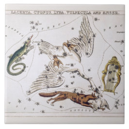 Vintage astronomisk karta över Lacerta, Cygnus, Ly Kakelplatta