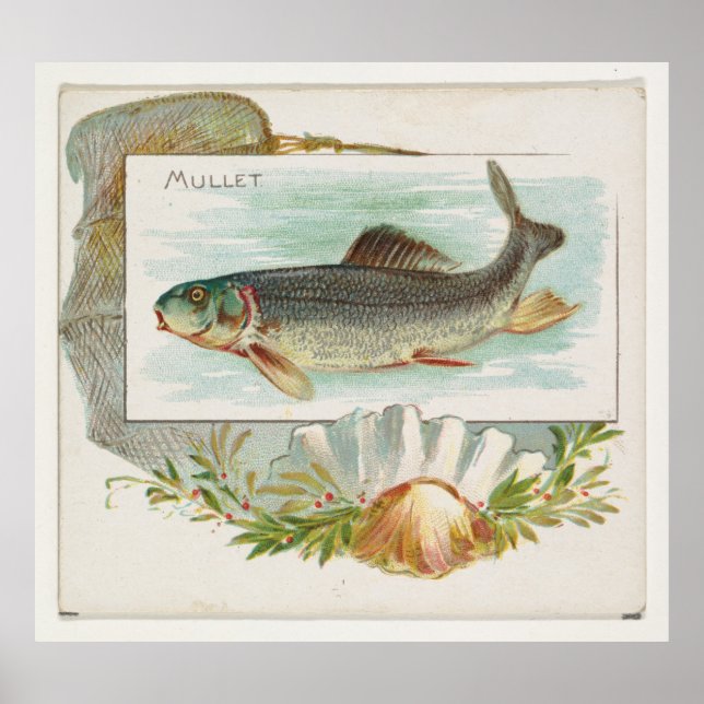 Vintage Atlantmullet (1889) Poster (Framsidan)