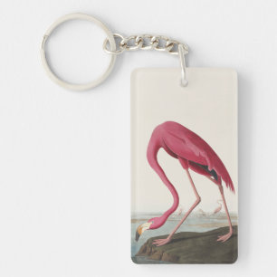 Vintage Audubon Amerikansk Flamingo Rosa Fågel Kon