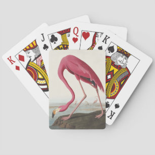 Vintage Audubon Amerikansk Flamingo Rosa Fågelkons Casinokort