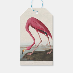 Vintage Audubon Amerikansk Flamingo Rosa Fågelkons Presentetikett