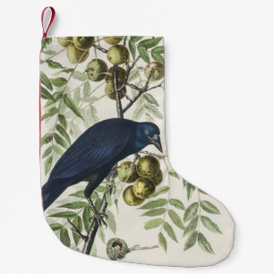 Vintage Audubon Amerikansk Kråka Fågel Natur Konst Liten Julstrumpa