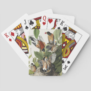 Vintage Audubon Amerikansk Rödbröst Fågelbo Konst Casinokort