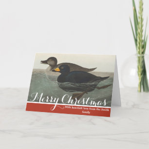 Vintage Audubon Amerikansk Scoter Anka Fågelkonst Helgkort