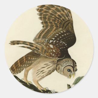 Vintage Audubon Barred Uggla Hunting Bird Gift Runt Klistermärke