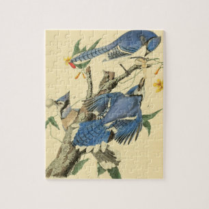 Vintage Audubon Blue Jay Bird Painting Gift Pussel