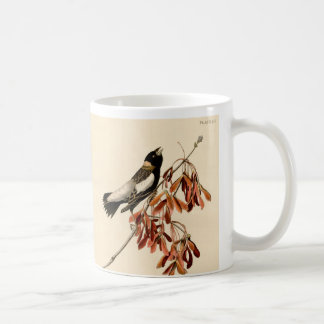 Vintage Audubon Bobolink Painting Gift Coffee Mugg