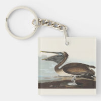 Vintage Audubon Brun Pelikan Kustfågel Konst