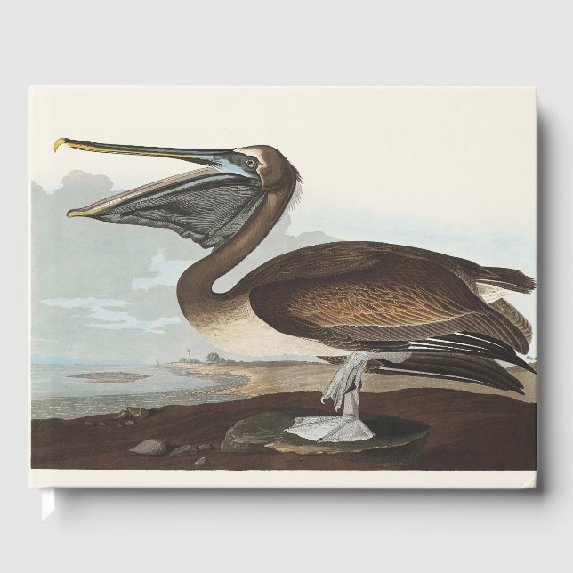 Vintage Audubon Brun Pelikan Kustfågel Konst Gästböcker (Framsida)