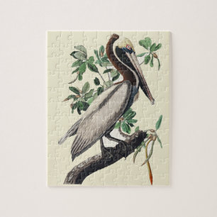 Vintage Audubon Brun Pelikan Kustfågel Konst Pussel