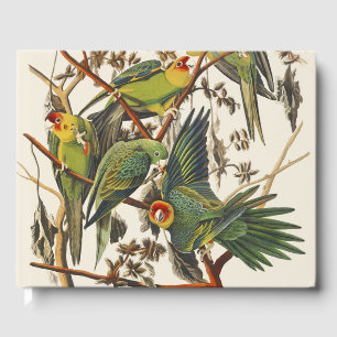 Vintage Audubon Carolina Parakeet Fågelkonst Gästböcker