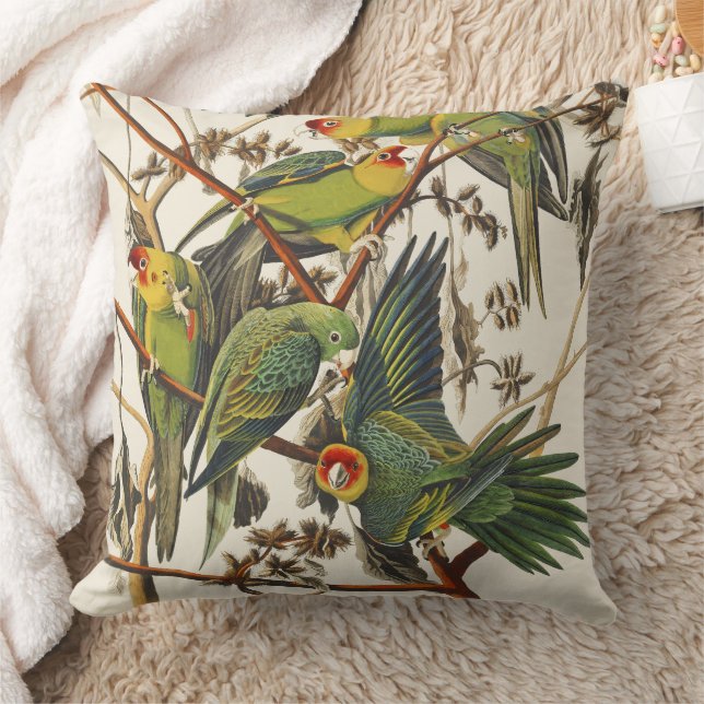 Vintage Audubon Carolina Parakeet Fågelkonst Kudde (Filt)