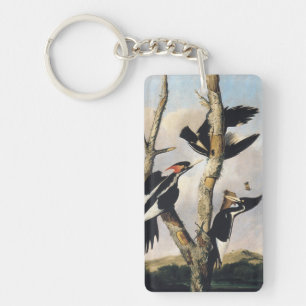 Vintage Audubon Elfenbensspett Konst