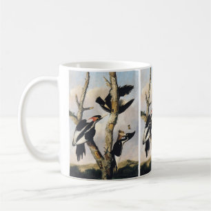 Vintage Audubon Elfenbensspett Konst Kaffemugg