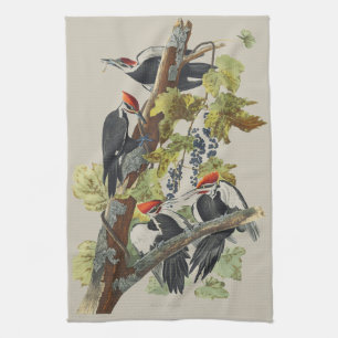 Vintage Audubon Hackspett Fågelkonst Kökshandduk