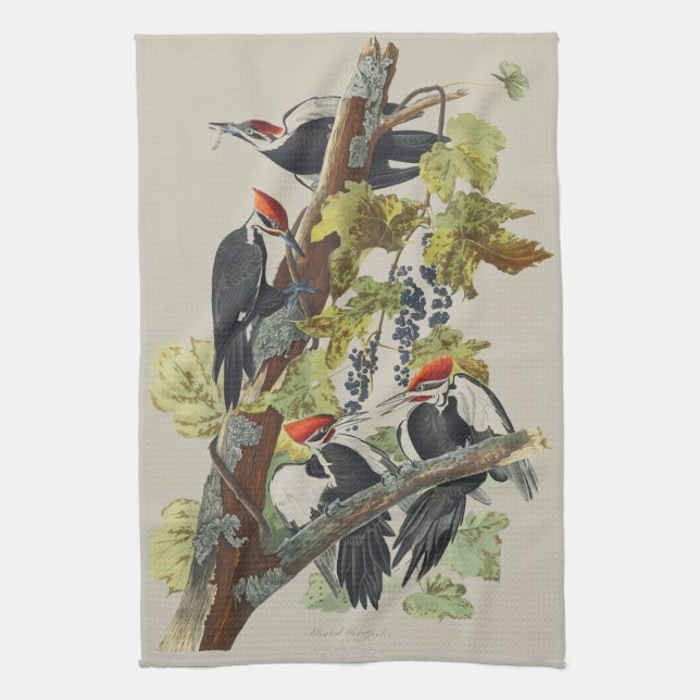 Vintage Audubon Hackspett Fågelkonst Kökshandduk (Vertikal)
