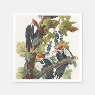 Vintage Audubon Hålkråka Fågelkonst Pappersservett