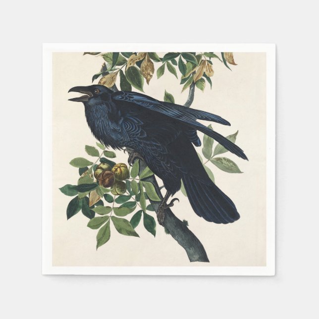 Vintage Audubon Korp Fågel Natur Konst Pappersservett (Framsidan)